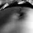 dmbrax