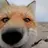 redfox