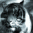 Tigrenok_ON