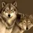 Alex_Wolf